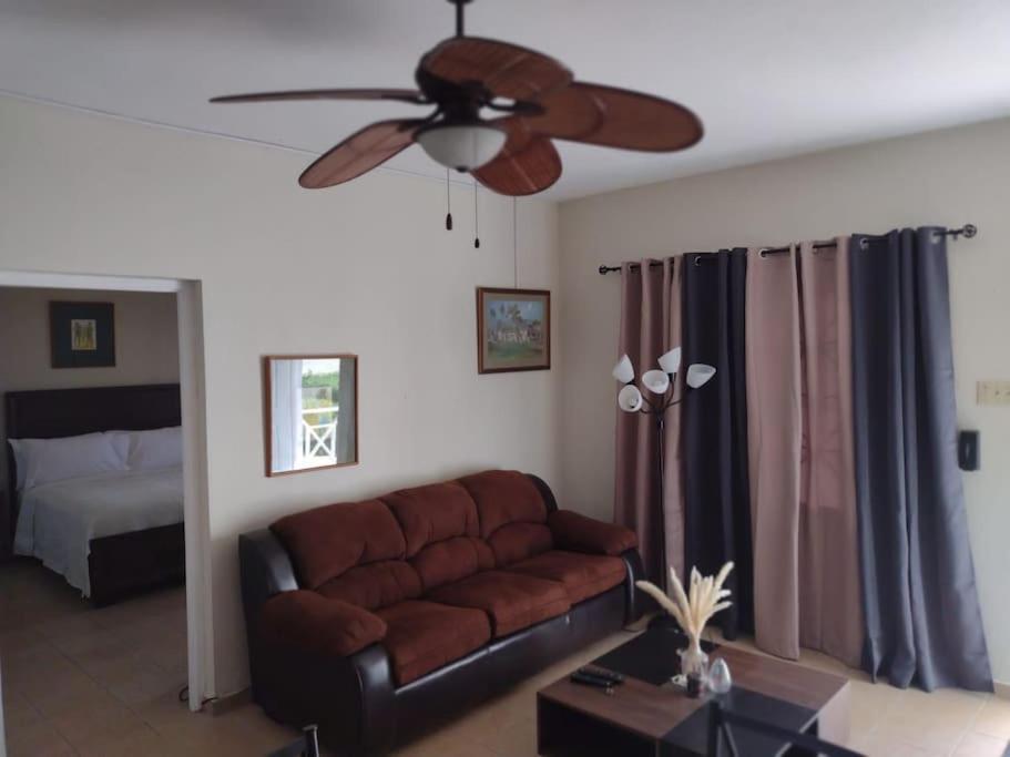 Club Caribbean Apartments ランアウェイ・ベイ エクステリア 写真